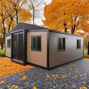 Expandable 20ft 40ft Prefabricated Tiny House Container Home with Kitchen and Toilet Modular for Family or Rental